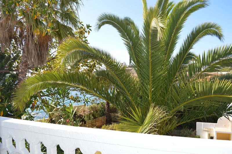 Jacaranda Apartments & Studios, Es Cana, Spain