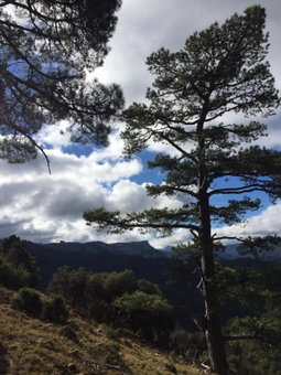 Apartamentos Valle del Guadalquivir, Arroyo Frio, Spain