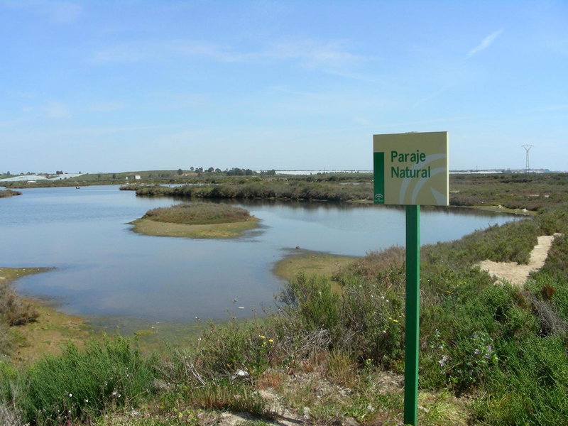 Puerta Salina Isla Cristina, Isla Cristina, Spain