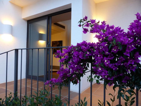Hotel Sol Ixent - Adults Only, Cadaqués, Spain