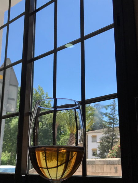 Hotel Colón, Ronda, Spain