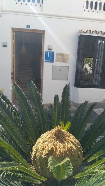 OPUNTIA Hotel Boutique, Mijas, Spain