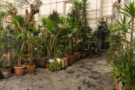 B&B Pantarei Napoli, Naples, Italy