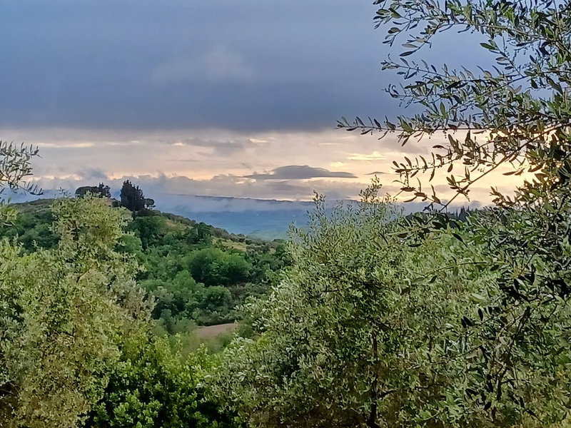 Tenuta di Sticciano, Certaldo, Italy