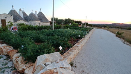 Trulli Il Castagno, Martina Franca, Italy