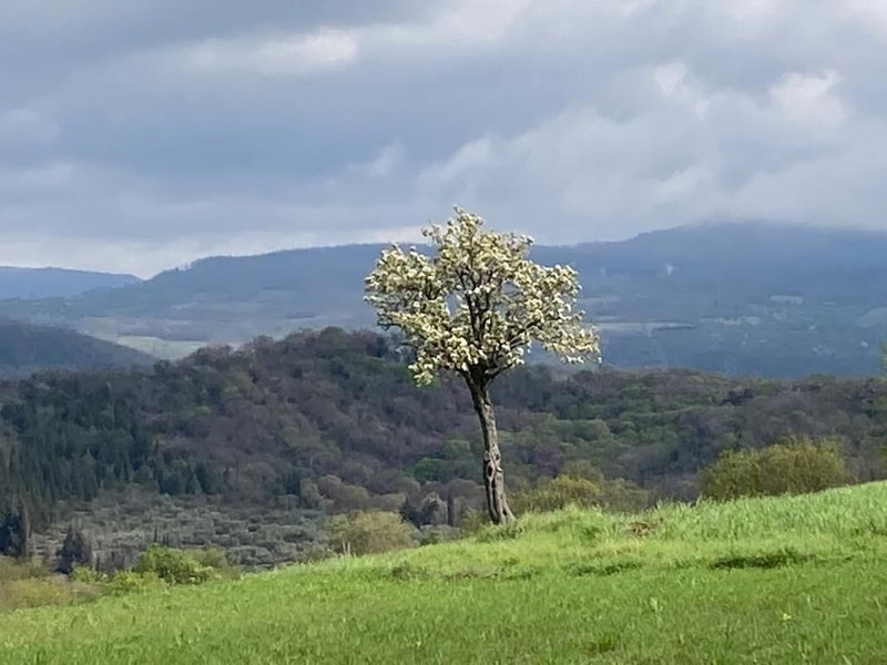 Agriturismo Bio Il Torrione, Manciano, Italy