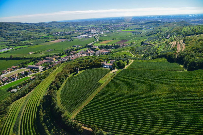 Agriturismo Delo, Verona, Italy