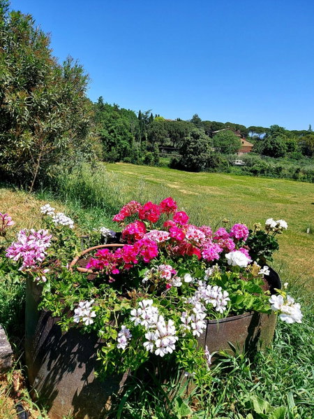 Montebello Park Hotel, Perugia, Italy