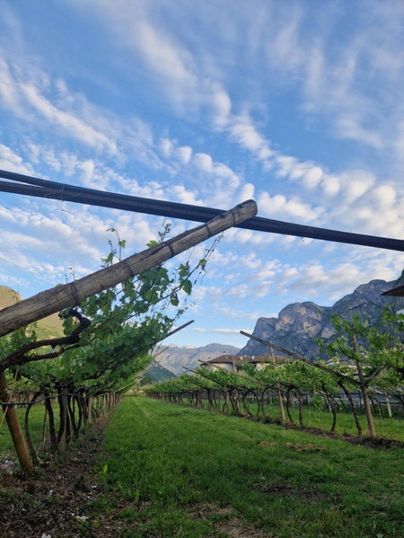Antico Fienile Agritur, Mezzocorona, Italy