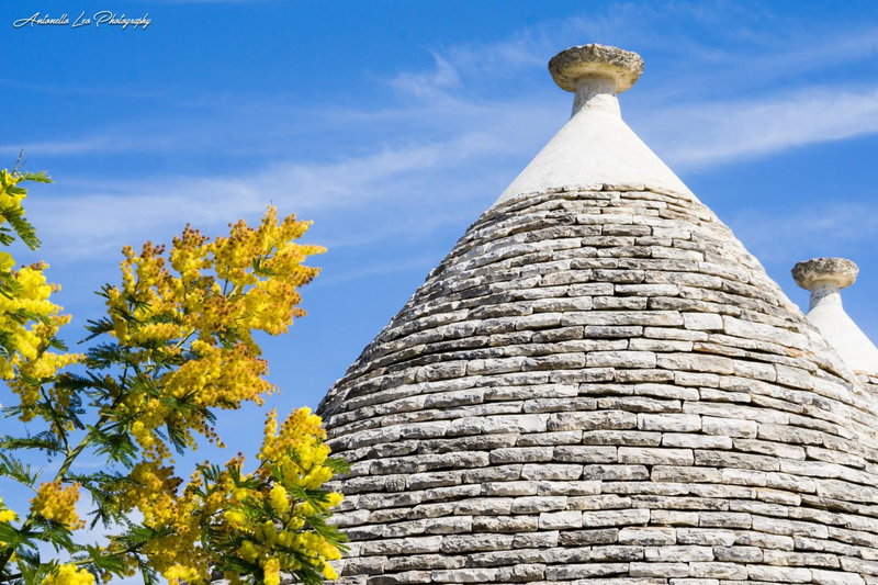 Beb Da Santino, Alberobello, Italy