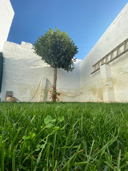 Guardian's House, Monopoli, Italy