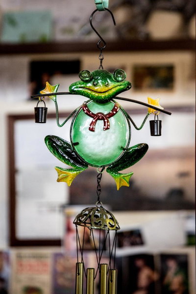 The Pickled Frog, Hobart, Australia