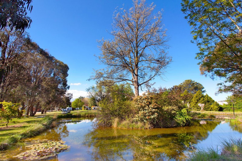 Armidale Tourist Park, Armidale, Australia