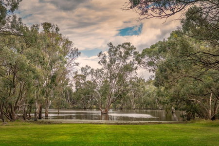 Pioneer Tourist Park, Deniliquin, Australia