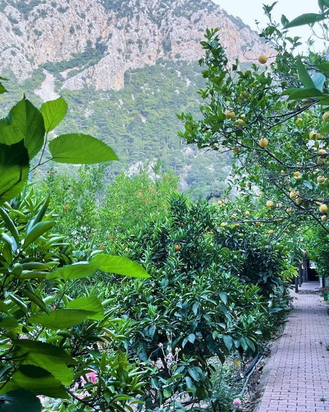 Olympos Varuna Pansiyon, Kumluca, Turkey
