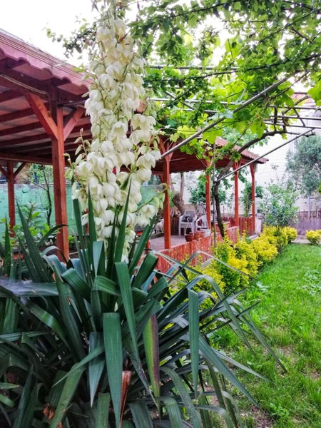 Kiliç Motel, Istanbul, Turkey