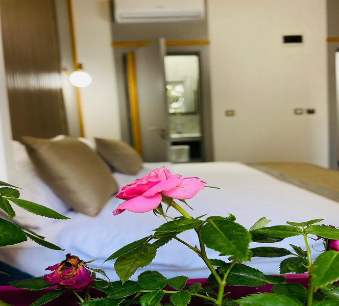 Guldehan Hotel, Istanbul, Turkey