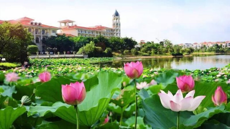 Ctry Garden Phoenix Hot Spring Taizhou, Taizhou, China