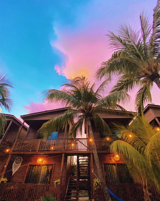 Coconut by ÓOL Hotels, Isla Holbox, Mexico