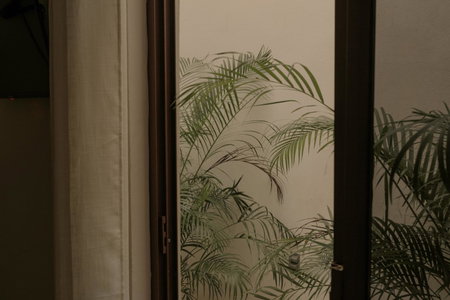 Narrativ Lofts - Serena - Beautiful Colonial Suite, Campeche, Mexico