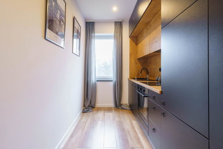 Loftowy apartament w sercu Śląska, Ruda Śląska, Poland