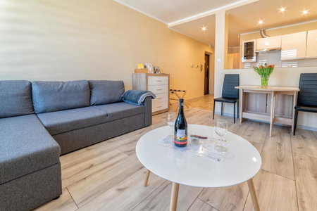 Apartamenty ALICJA, Dzierżoniów, Poland