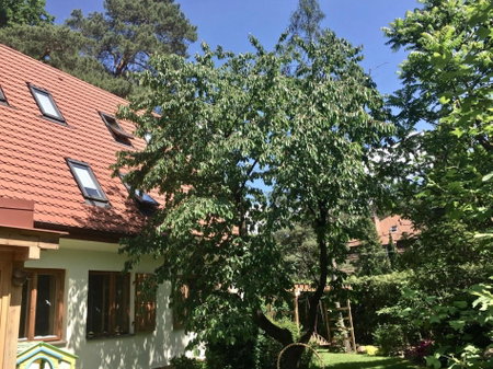 Willa Danusia, Milanówek, Poland