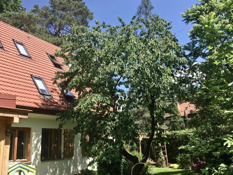 Willa Danusia, Milanówek, Poland
