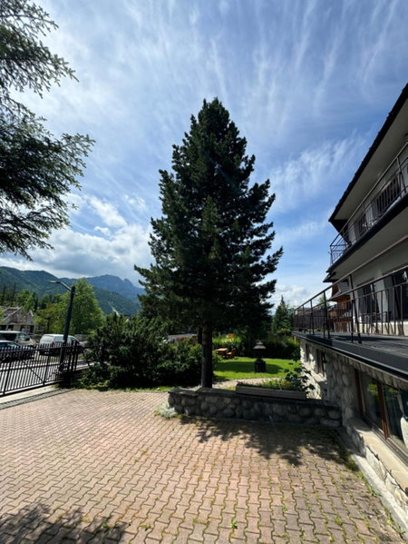 Kwatera Górska 903mnpm, Zakopane, Poland
