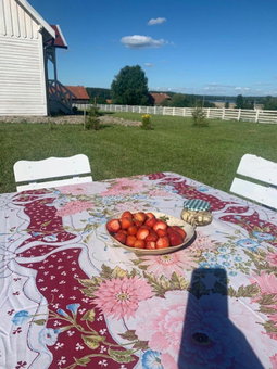 Giżycko-Przerwanki Domki Widok na Mazury, Giżycko, Poland
