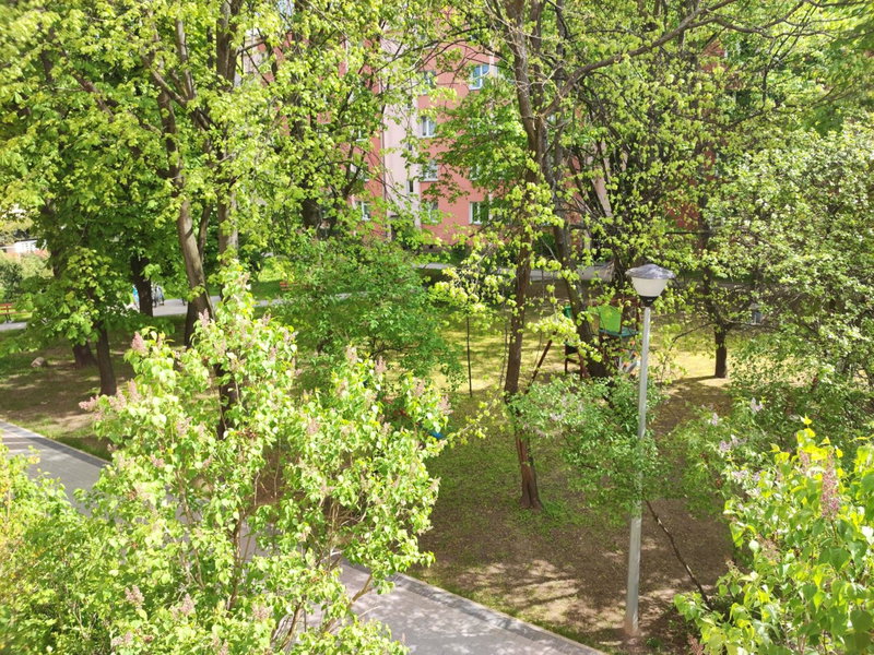 Zielony Żoliborz, Warsaw, Poland