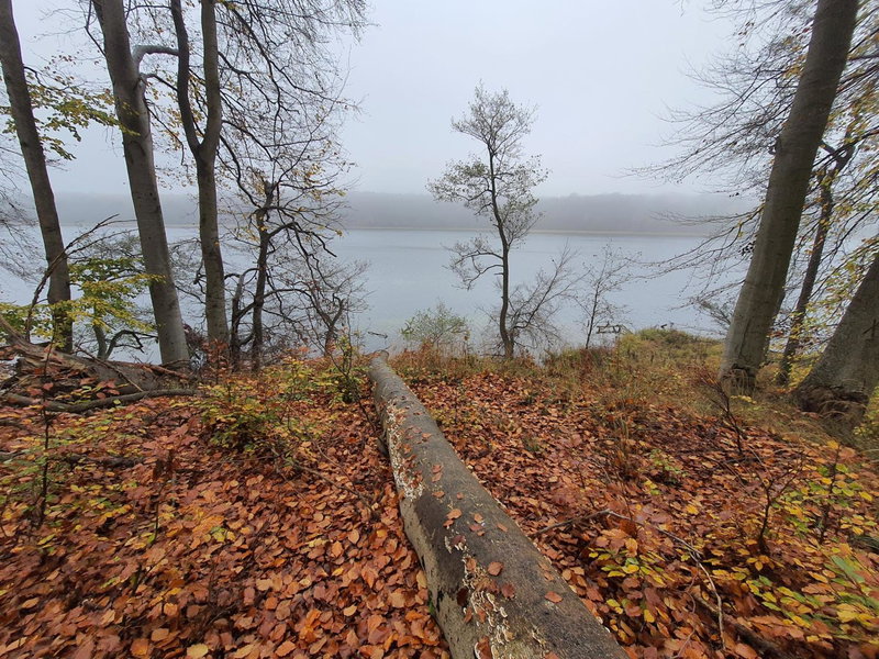 Bukowa Ostoja, Nakielno, Poland