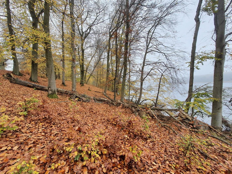 Bukowa Ostoja, Nakielno, Poland
