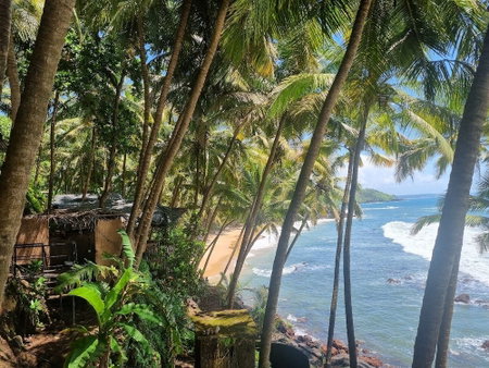 Belantara Beach Front Resort, Vengurla, India