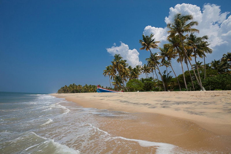 Marari Villas - Private Pool Villas, Mararikulam, India