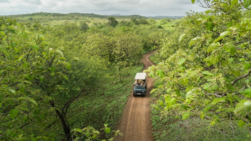 Aramness Gir National Park, Sasan Gir, India