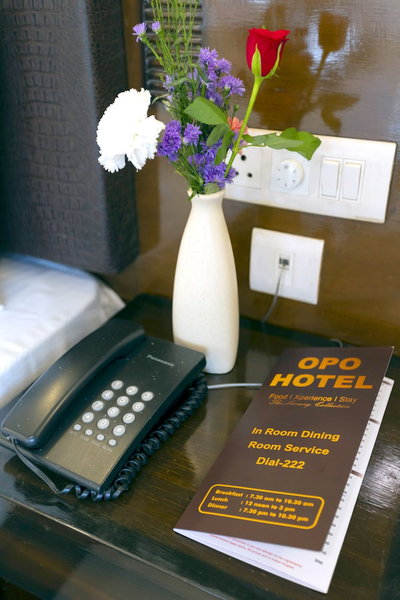 OPO Hotel Dior, New Delhi, India