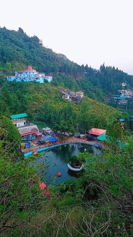 Hotel the Pine Villa Mussoorie, Dehradun, India