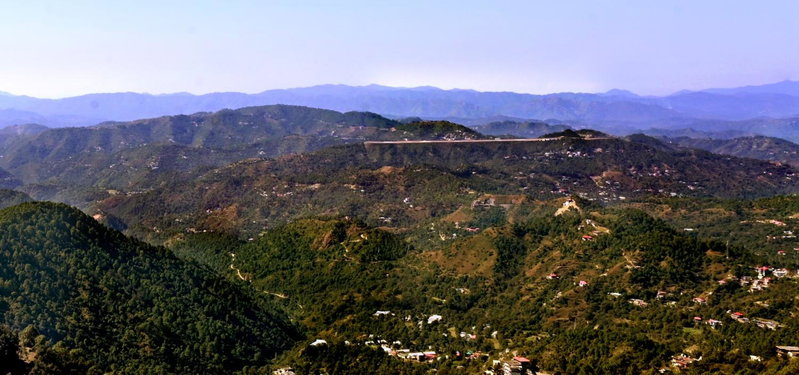 Pine Ville Shimla, Shimla, India