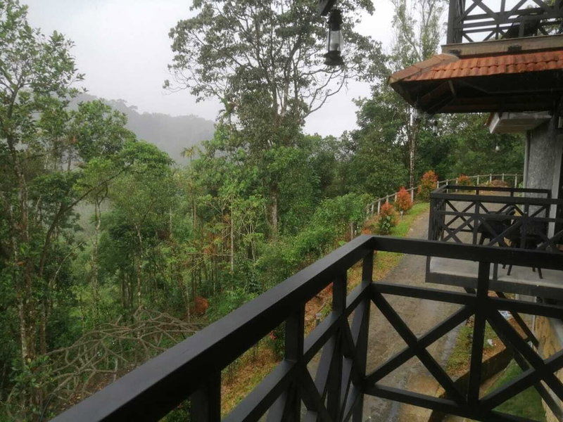 The Wild Trails Clarks Exotica Munnar, Devikolam, India