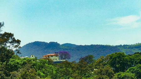 Hidden Heaven, Coonoor, India