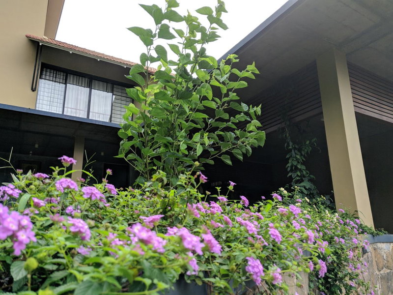 Homestay Namaha, Meppādi, India