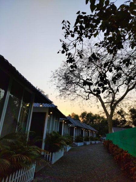 Nature's Cove Resort, Alibag, India