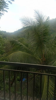 Riya Home Stay Munnar, Anaviratty, India