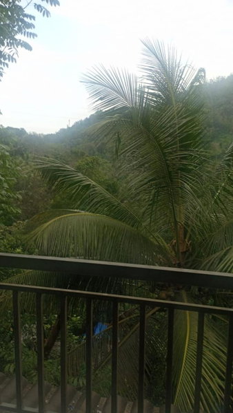 Riya Home Stay Munnar, Anaviratty, India