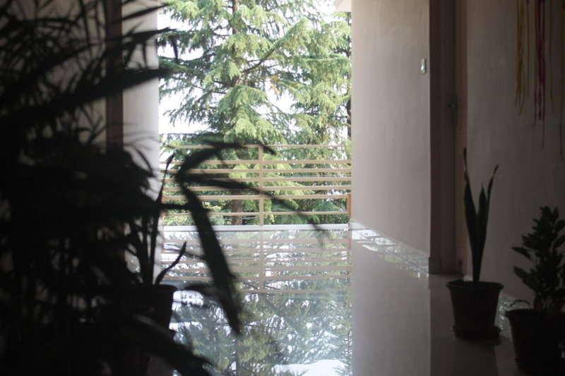 Junglaat Stays & Experiences, Dharamshala, India
