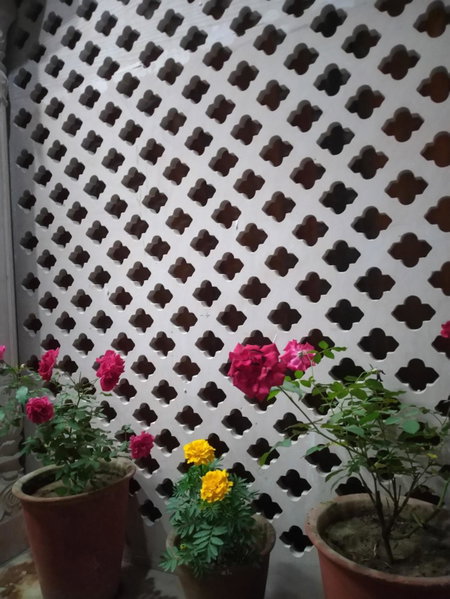 Tourist Inn, Jaipur, India