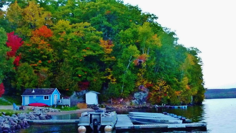 Silver Springs Cottage Resort, Harcourt, Canada