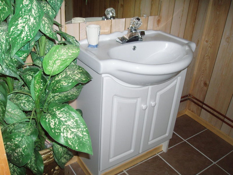 Silver Springs Cottage Resort, Harcourt, Canada
