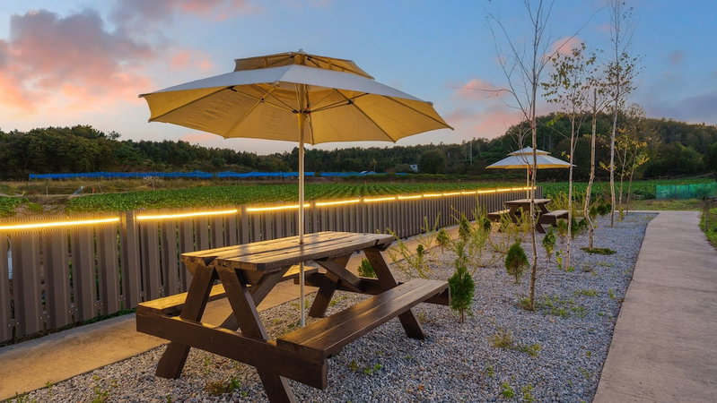 Gangneung Staydasiolgae Poolvillapension, Gangneung, South Korea